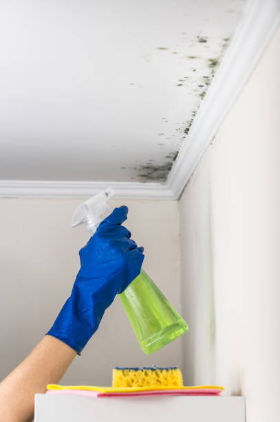 Best Water Damage Restoration  in Baldwin City, KS